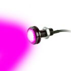 QMV LL1W18-PU 12 Volt Flush Mount 1 Watt LED Light - Purple