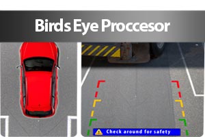 Birdseye 360 degree processors