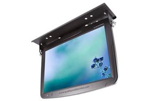 Specialty LCD Monitors